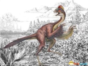 6600万年前的“地狱鸡” 3米高巨型猛禽极其残忍