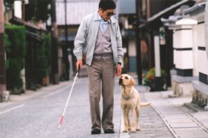 《再見了，可魯》數位經典重映　細膩描繪導盲犬陪伴與生命感動